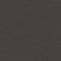 African Crowned Eagle (FE4072)