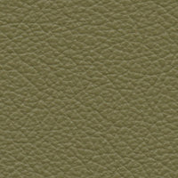 Bayeux Green (VP521)