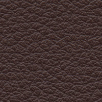 Beccaccia di Mare (RA1815)