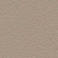 Bohemian Waxwing (FE4002)