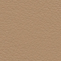 Broad-Winged Hawk (FE4014)