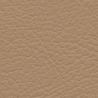 Brown Pelican (FE4051)