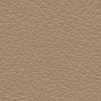 Buffalo Municipal (VP4013)