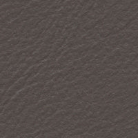 Canadian Goose (FE4058)