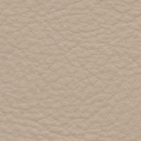 Caracara Eagle (FE4005)