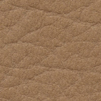 Cedar Waxwing (DV145)