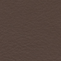 Crested Goshawk (FE4042)