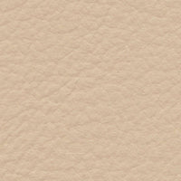 Giant Petrel (FE4022)