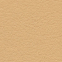 Golden Plover (FE4039)