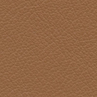 Hurricane Hunter (VP456)