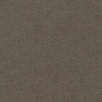 Chinchilla (K102133)