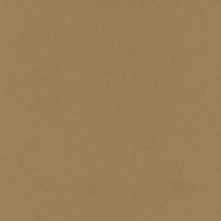 Dark Beige (236D)