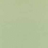 Light Green (846D)