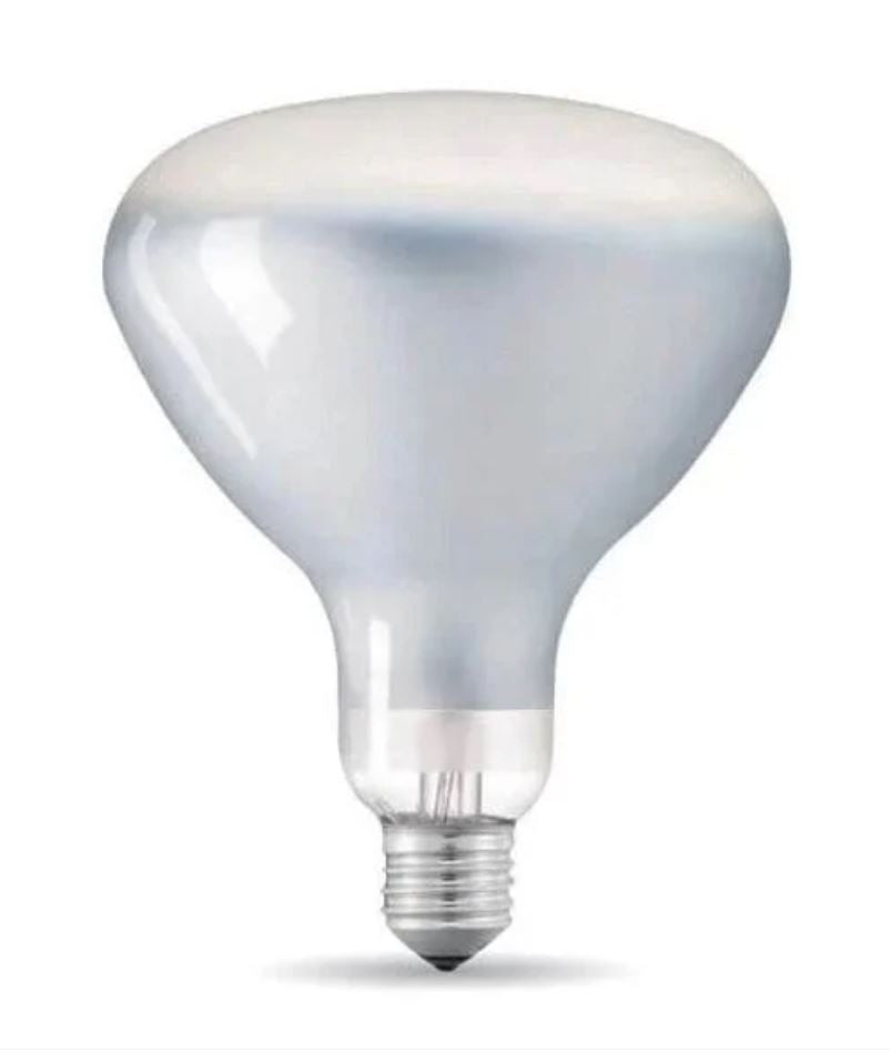 [국내재고] LED BULB-LUMINATOR/PARENTESI