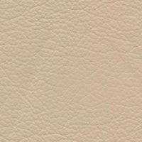 Montgolfier (VP4008)