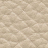 Parchment (VO960)