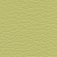 Persian Lime (VP520)