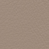 Prairie Falcon (FE4001)