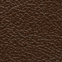 River Otter (AL5050)