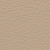 Ruffled grouse (FE4020)