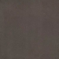 Enchant col. 14 Seppia