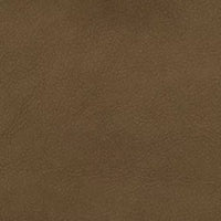 Enchant col. 16 Antilope