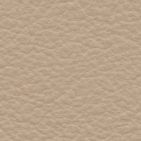 Spectacled Owl (FE4019)