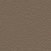 Steppe Eagle (FE4047)