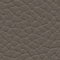 Thundercloud (VO946)